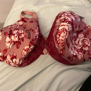 Lane Bryant Cacique Bra